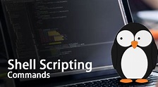 Shell Scripting Commands | Basic To Advanced Commands With Example