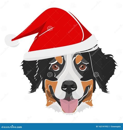 Illustration Bernese Mountain Dog With Red Santa Hat Stock Vector