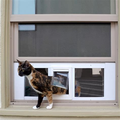 They can be installed in just about any door in your house or even through the. Best Window Mounted Cat Door Ideas - Spiffy Pet Products
