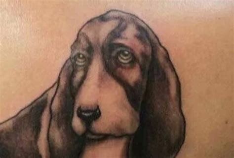21 Basset Hound Dog Tattoo Ideas The Dogman