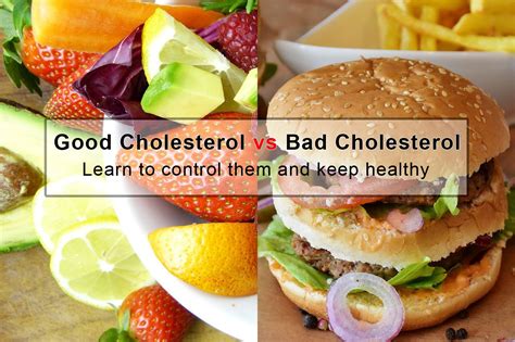 Scientific Concept Good Vs Bad Cholesterol Lower Cholesterol Diet