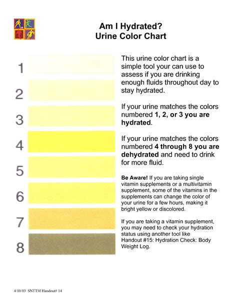 What Your Urine Color Says About Your Health Useful Information