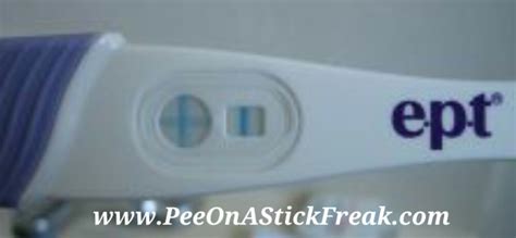 Positive Blue Dye Home Pregnancy Tests Pee On A Stick Freak