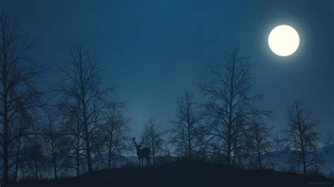 Wallpaper Digital Art Landscape Illustration Night Forest Deer