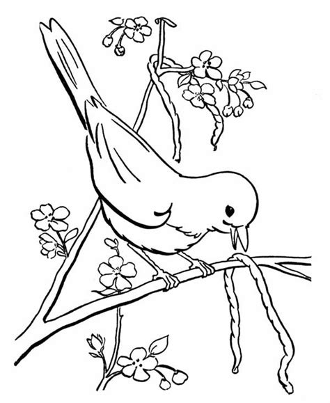 Free bird coloring printable pages to identify for kids. Pin on Coloring pages