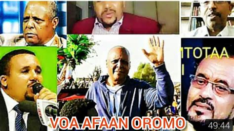 Voa Afaan Oromo Jan252018 Youtube