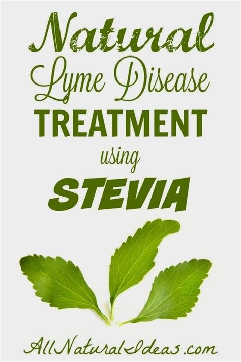 Diy Natural Products Lyme Disease Treatment Natural Healing Remedies