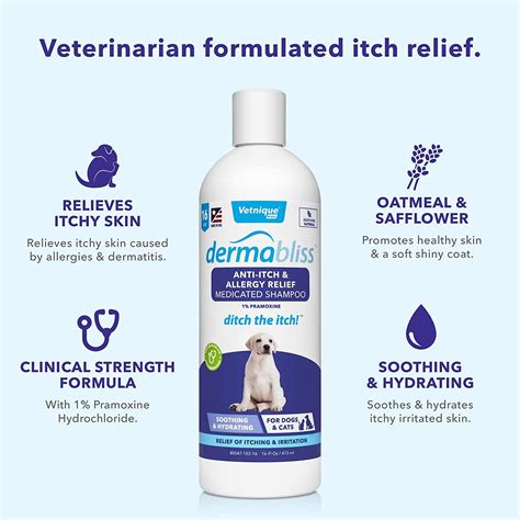 Dermabliss Anti Itch Allergy Shampoo For Dogs Baxterboo