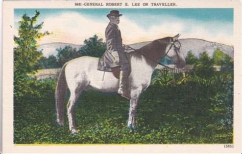 General Robert E Lee On His Horse Traveler American Saddlebred Horses