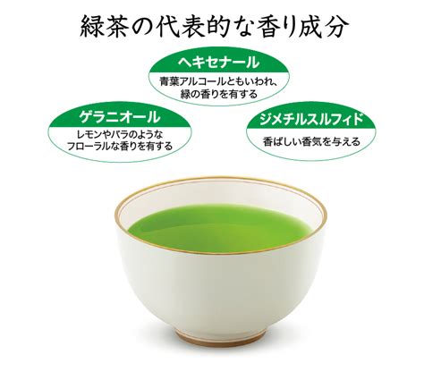 お茶に癒される理由は香りにあり！ テアニン研究の第一人者が徹底解説 Web版月刊『茶の間』 〜お茶と京都の情報を伝える〜