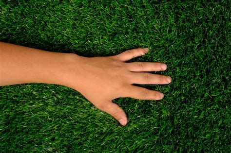 Premium Photo Hand On The Lawn Left Hand On Green Grass