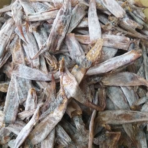 Dried Squid Pusit Haba Order Price 100 Grams Farm2metro
