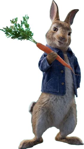 An adaptation of beatrix potter's classic story, 'the tale of peter rabbit', this film follows the antics of a naughty rabbit hoping to lay siege on. Peter Rabbit (2018) in 2020 | Peter rabbit movie, Peter ...