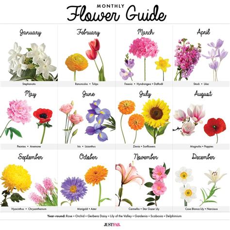 A Visual Guide To Wedding Flowers By Month Birth Flower Tattoos