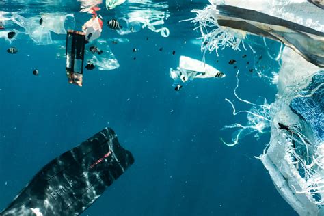 Plastic In The Ocean 187 Statistics And Facts On Marine Pollution