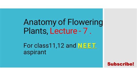 Anatomy Of Flowering Plants Lecture 7 For Class1112 And Neet