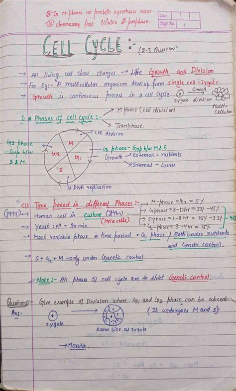 Chapter Cell Cycle And Cell Division Class Biology Notes For Cbse Board And Neet