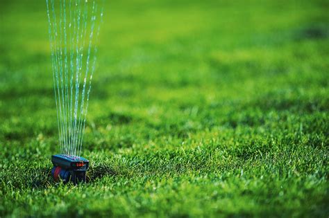 From day two on, keep your sod and soil moist throughout the day. How to Care for a New Sod Lawn | Big Foot Turf