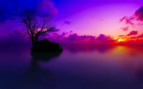 nature hd wallpapers purple sky wallpaper cave