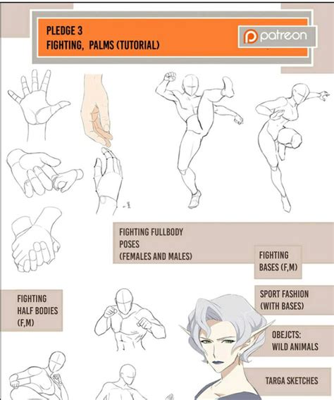 71 Best Anime Anatomy Images On Pinterest Drawing Tutorials Manga