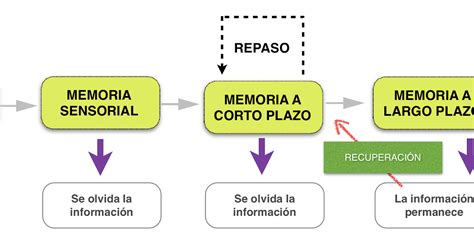 Trazando Camino La Memoria