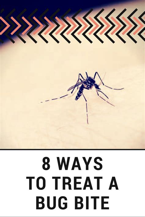 8 Weirdly Effective Ways To Treat A Bug Bite