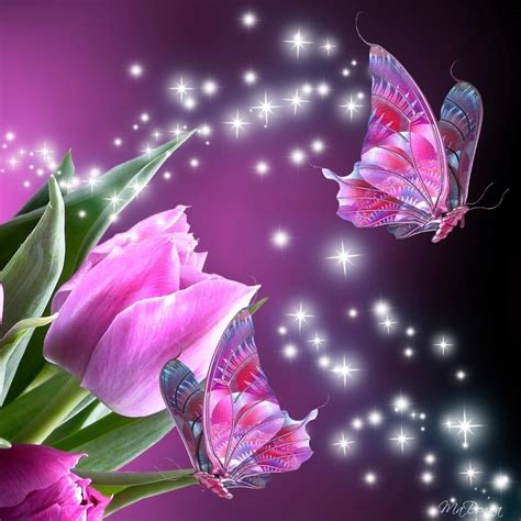 Flower Butterfly  Wallpaper Gambar Bunga