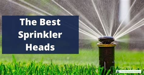 De bästa sprinklerhuvudena för din gräsmatta recensioner och köpguide The Backyard