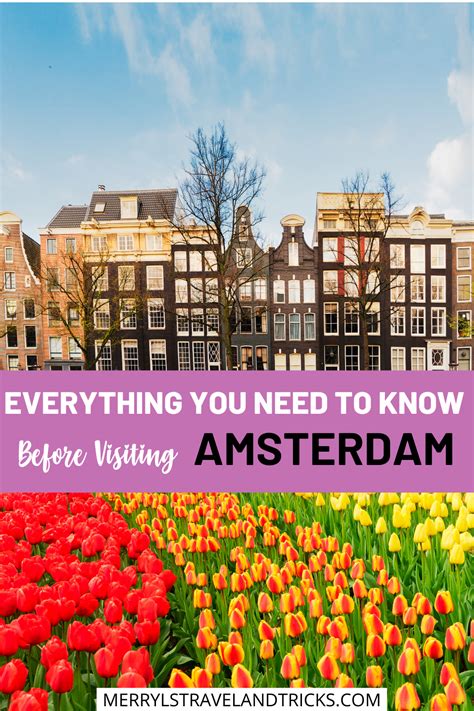 everything you need to know before visiting amsterdam in 2020 amsterdam travel travel tips