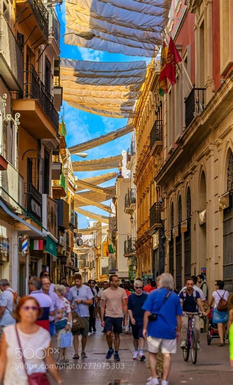 Cuenta oficial del #sevillafc en instagram. Calle SIERPES (Sevilla) by miloki | Sevilla, Calle