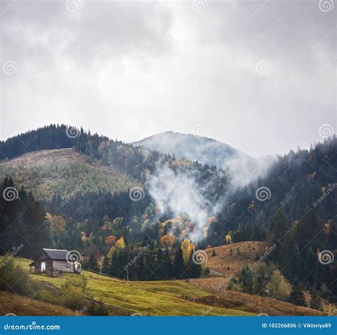 Mountain Landscape Of Beautiful Foggy Morning In The Ukrainian