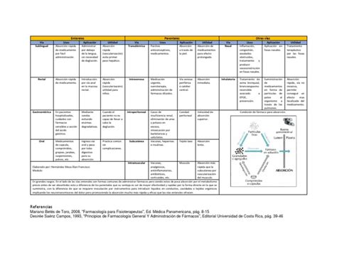 Vías De Administración Cuadro Comparativo Pdf Medicamentos Con