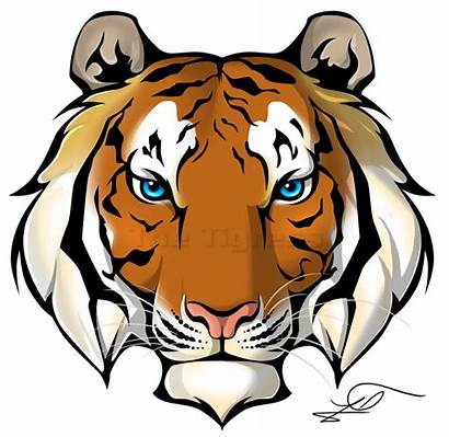 Tiger Face Clipart Clip Head Drawing Tigers