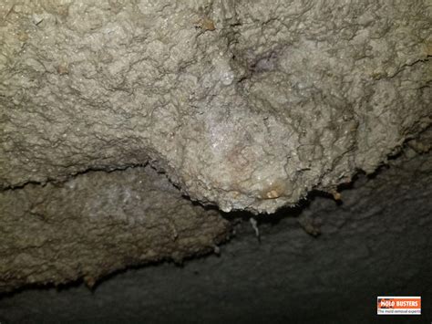 Many of these ceilings were made partially out of asbestos, a silicate material which was banned in many countries starting in the. Asbestos in Popcorn Ceilings - How to Identify & Remove ...
