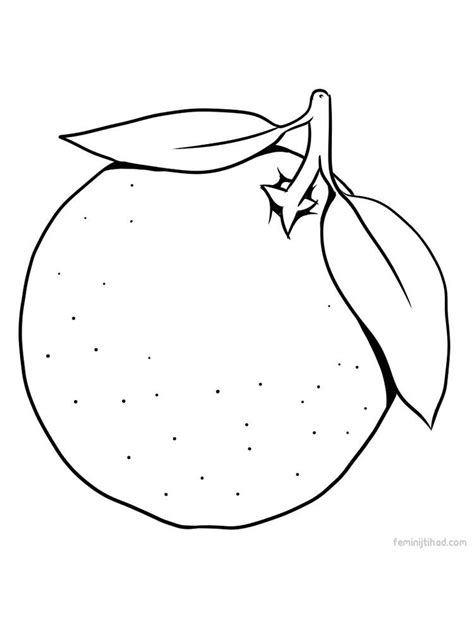 38 Oranges Coloring Page Free Wallpaper