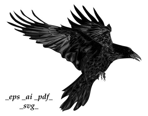 Flying Raven Vector Svg Crow Vector Svg Raven Clipart Etsy