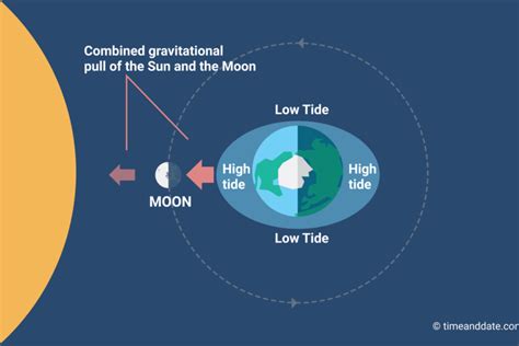 Tide times are eat (utc +3.0hrs). The Moon Causes Tides on Earth