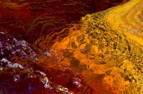 Qué Es La Marea Roja Y Por Qué Se Produce Descubre Este Fenómeno