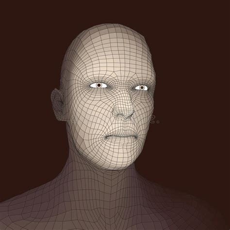 Head Of The Person From A 3d Grid Human Head Wire Model Human Polygon