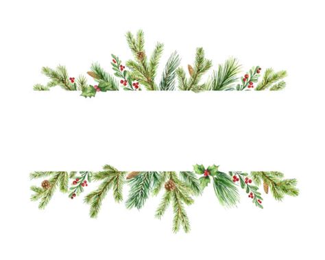 Evergreen Tree Illustrations Royalty Free Vector Graphics And Clip Art