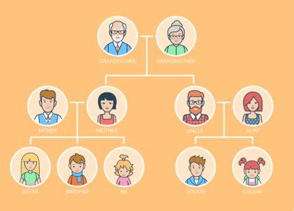 Details Im Genes De Rboles Geneal Gicos En Ingl S Abzlocal Mx