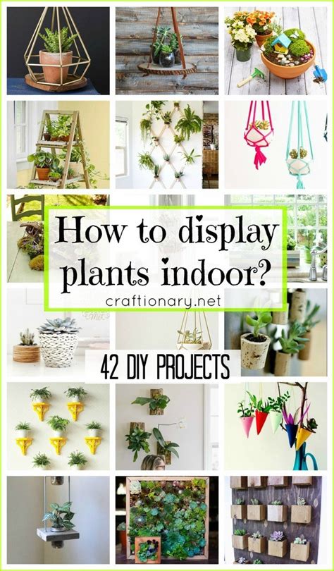Creative Ways To Display Plants Indoor Are Your Guide To Stylish Home
