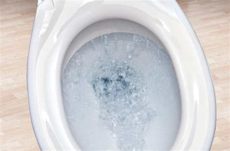 How To Fix The Toilet Leaks When Flushed Grip Elements