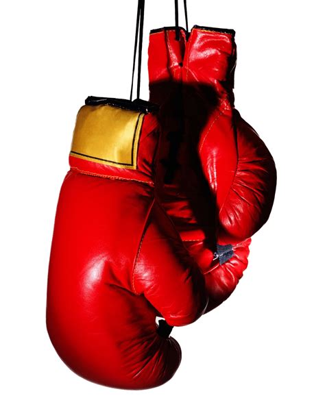 Download Boxing Gloves Transparent Image Hq Png Image
