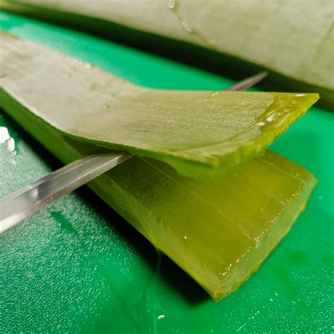 How To Make Aloe Vera Gel From Fresh Aloe Vera Leaves Deep Green