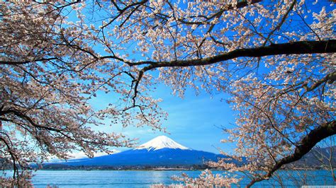 We offer an extraordinary number of hd images that will instantly freshen up your smartphone. Mt. Fuji 4K Wallpapers - Top Free Mt. Fuji 4K Backgrounds ...