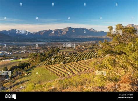 Paarl Valley At Sunrise Paarl Western Cape South Africa Stock Photo