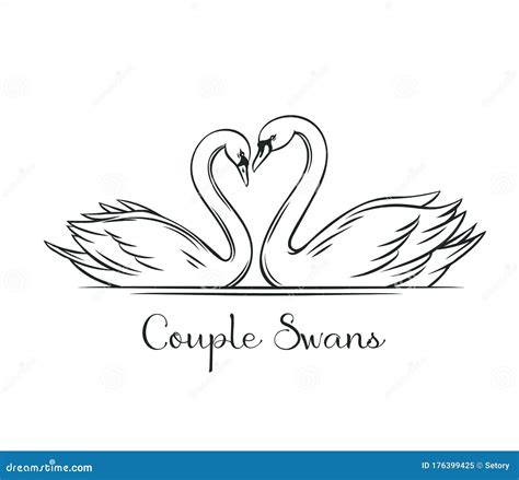 Couple Swans Outline Stock Vector Illustration Of Heart 176399425