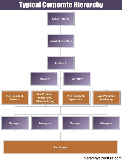 Typical Corporate Hierarchy Hierarchy Marketing Strategy Social