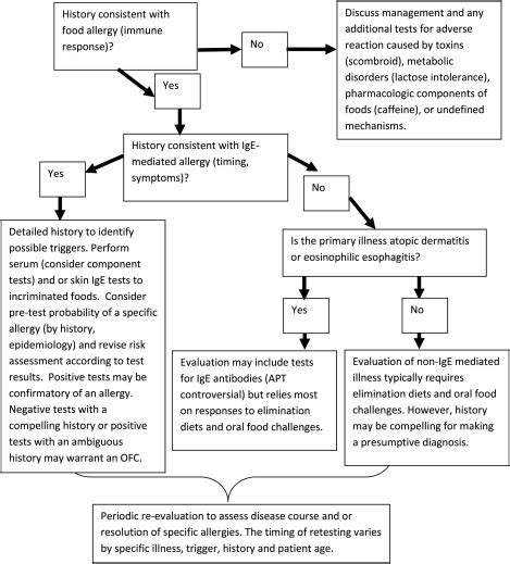 Food Allergy Epidemiology Pathogenesis Diagnosis And Treatment